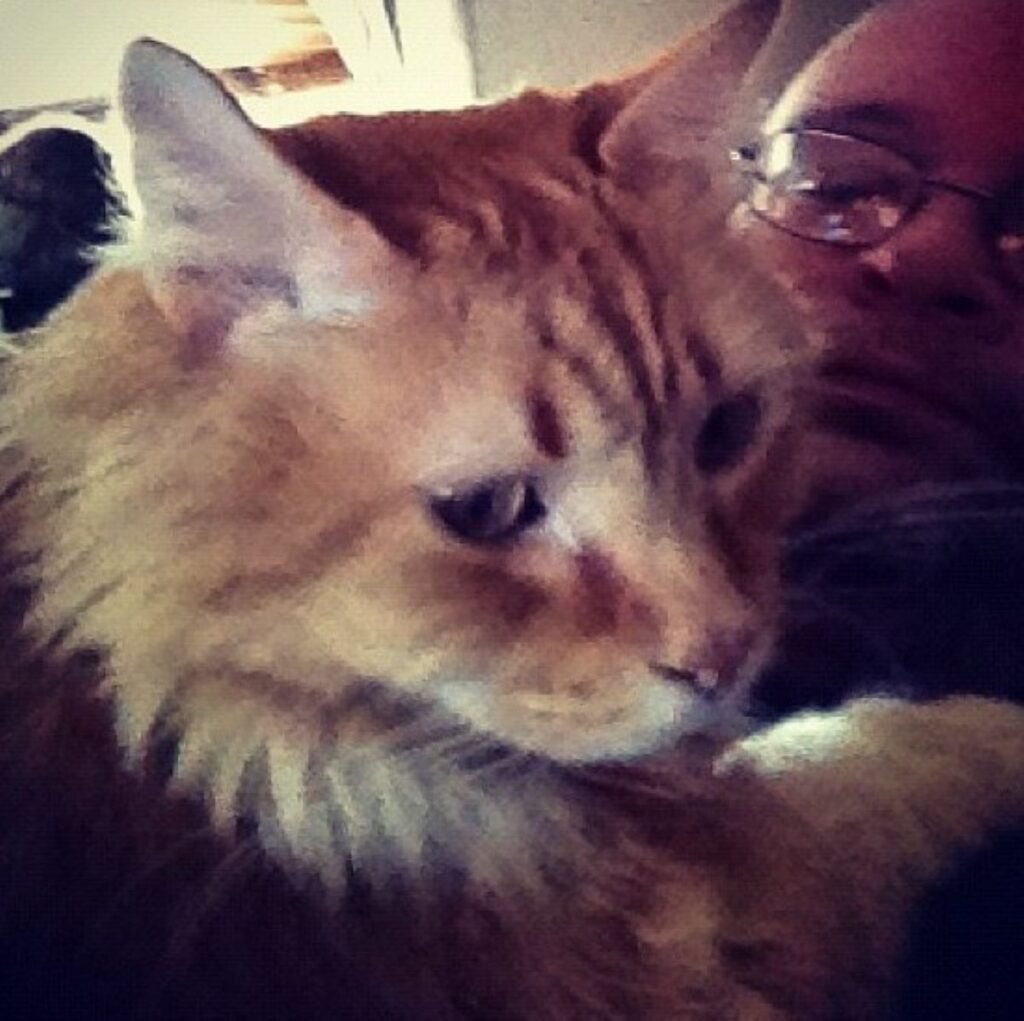 Seeking Physical Comfort and Closeness 