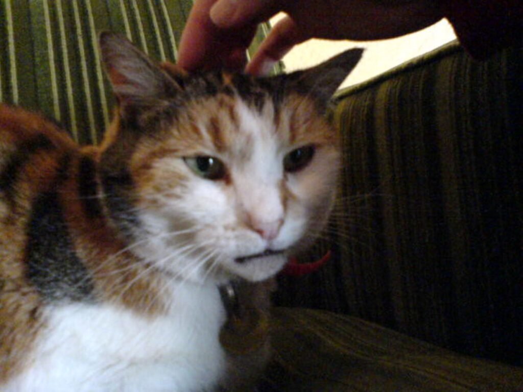 The Legacy of That Final Look 