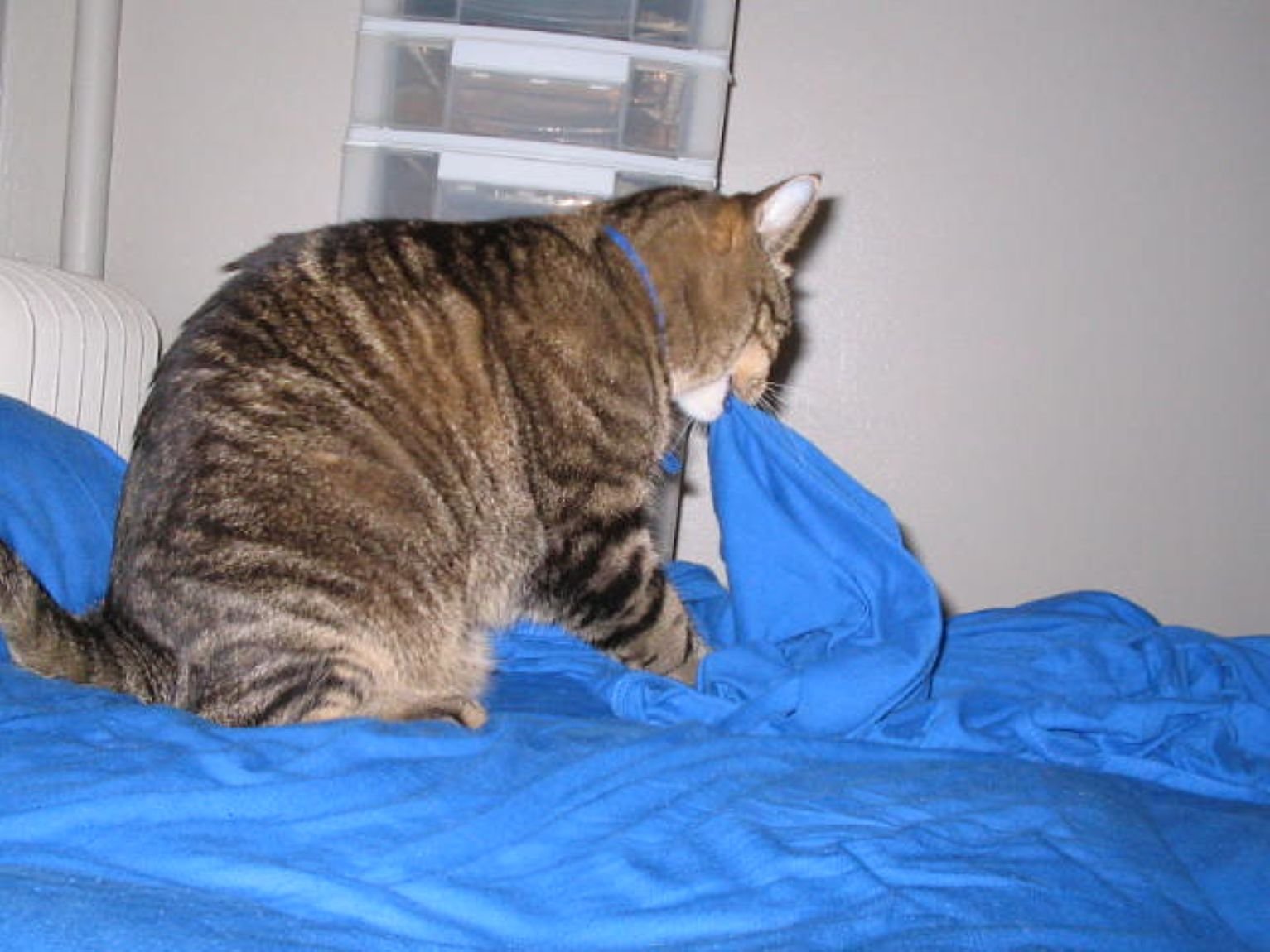 The Kneading Connection After Circling 