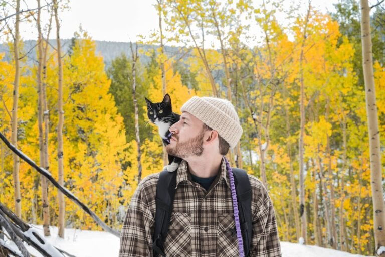 10 Cat Breeds Most Compatible With Zodiac Sign Sagittarius