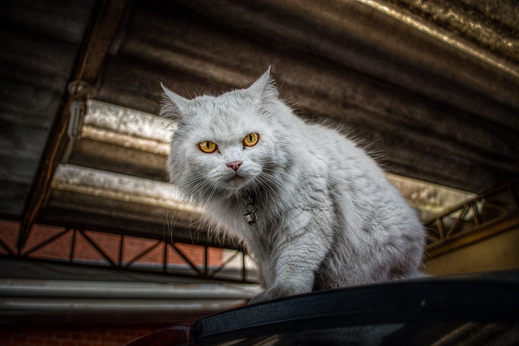 Changes in Body Posture 