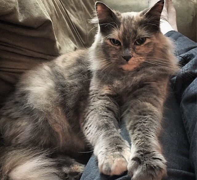 They Knead You Like They're Making Biscuits 