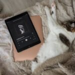 7 Common Sounds That Comfort Anxious Cats