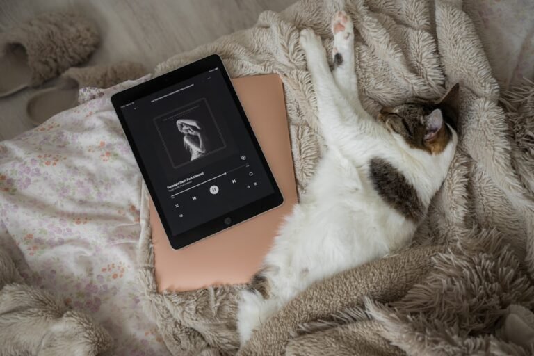 7 Common Sounds That Comfort Anxious Cats