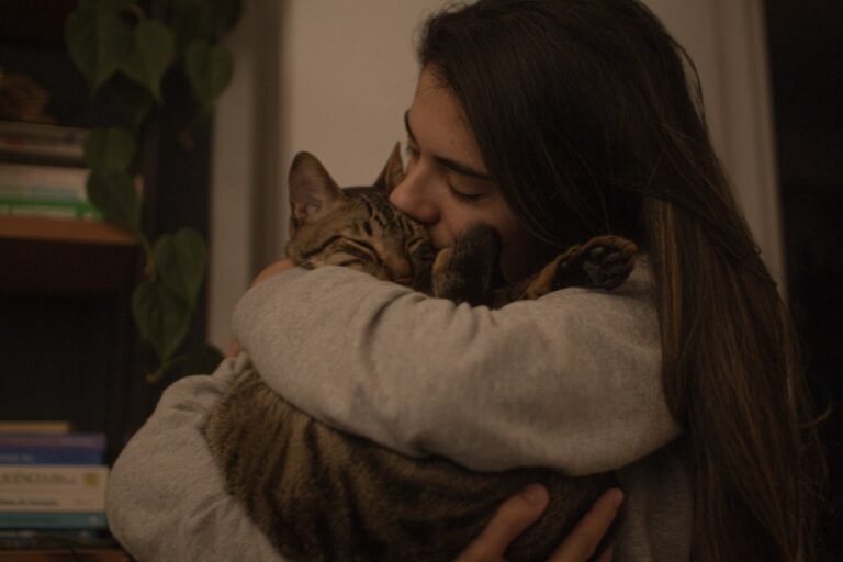 7 Subtle Signs Your Cat Is Trying to Heal You Emotionally