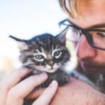 8 Cat Behaviors That Mean "I Miss You" When You're Away