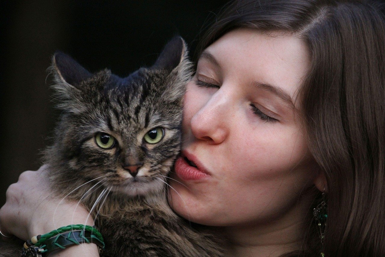 10 Emotional Things Cats Do When They're Proud of You
