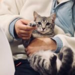 What Happens When You Match Your Energy to Your Cat's - A Bond Explained