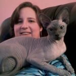 10 Most Affectionate Cat Breeds Who Love Cuddles