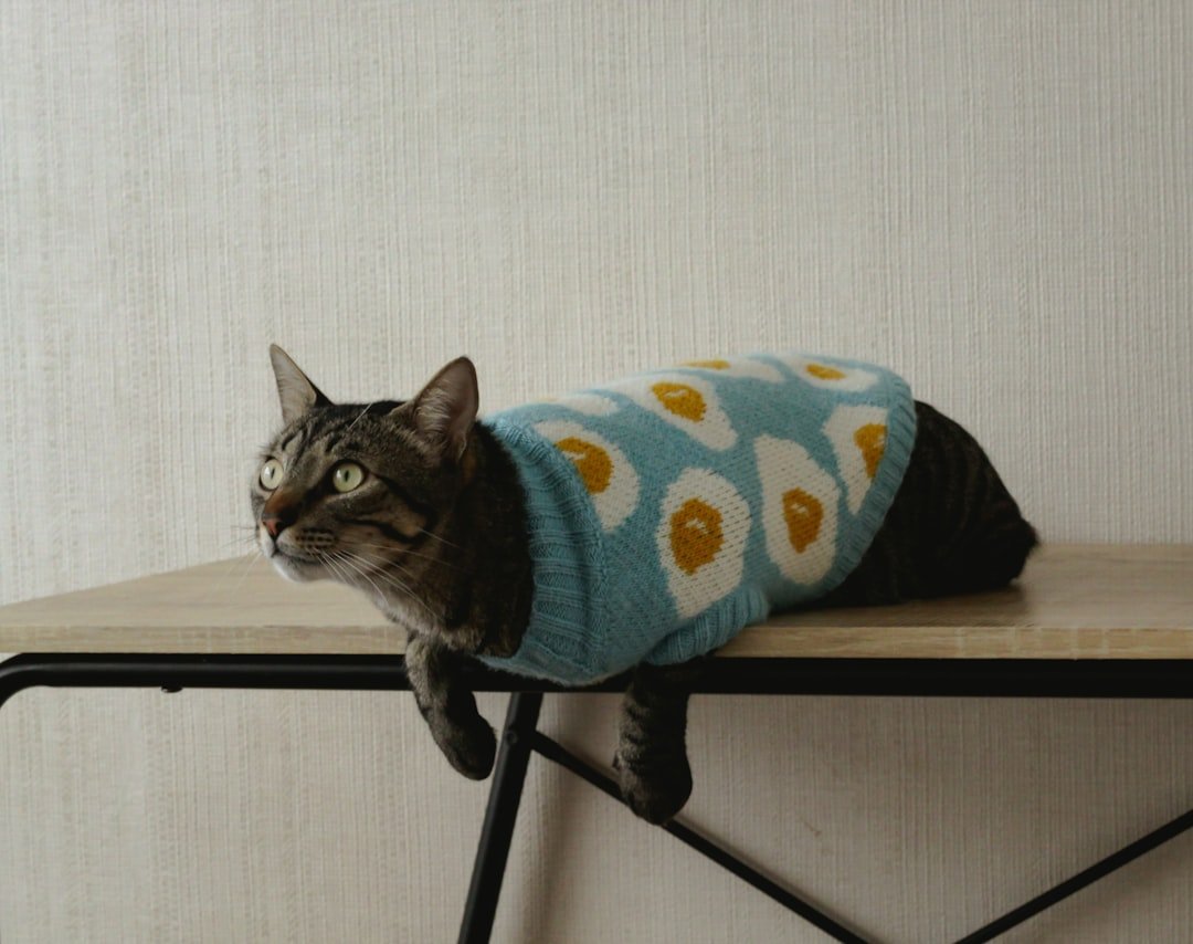 Does Your Cat Need a Coat in Winter?