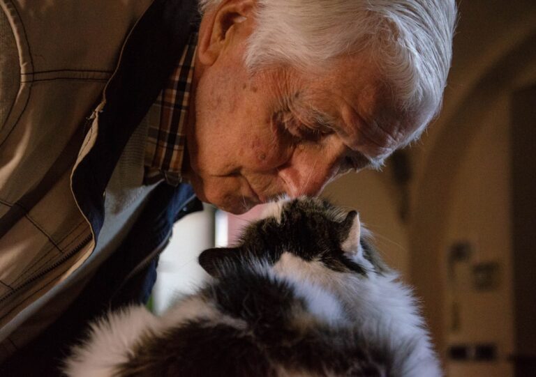 How to Choose A Cat Breed When You're Over 60