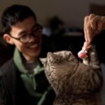 8 Ways Cats Ask For Attention