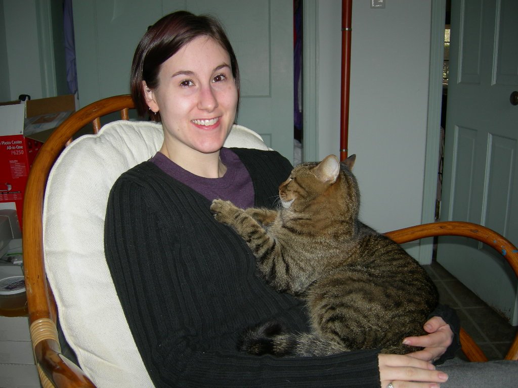 Why Cats Love to Knead You