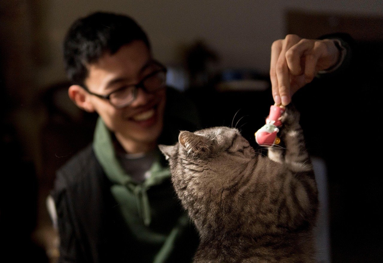 Why Does My Cat Bring Me 'Gifts'?