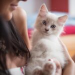 Why Do Some Cats Prefer Solitude While Others Crave Attention?