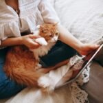 7 Ways Your Cat Secretly Helps You Around the House