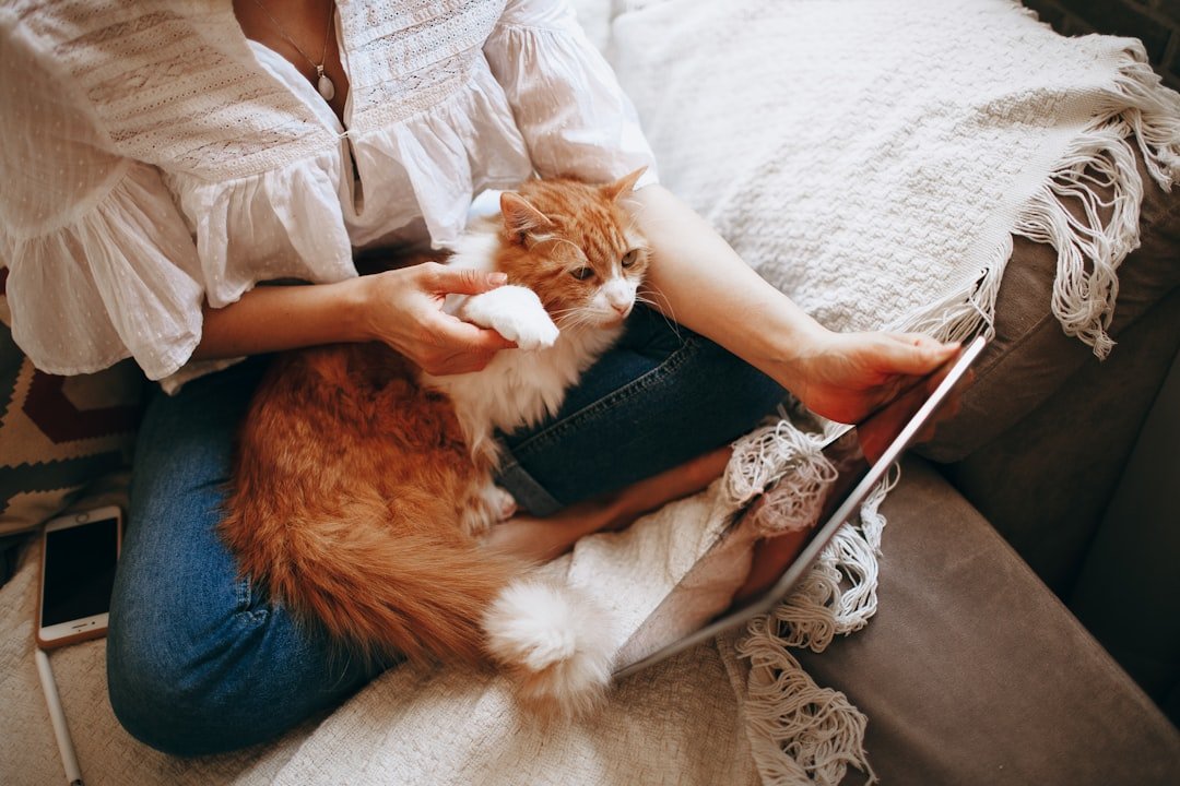 7 Ways Your Cat Secretly Helps You Around the House