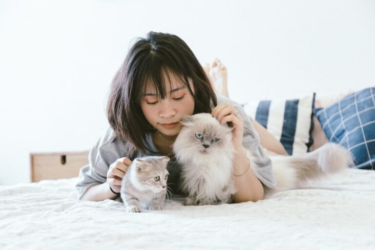 7 Behaviors That Show Your Cat Feels Safe and Secure in Your Home
