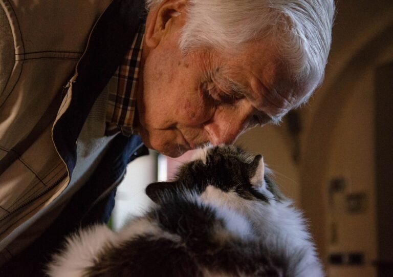 8 Benefits of Keeping a Cat In Your Senior Years