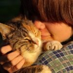 7 Ways Cats Show Affection That Aren't Always Obvious