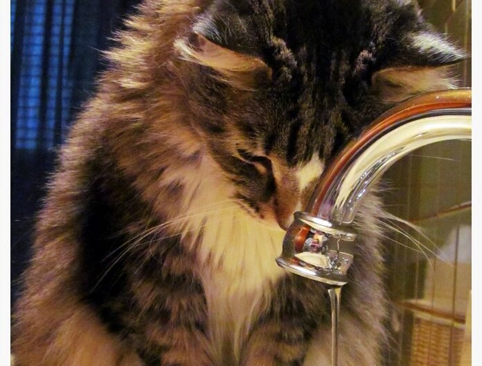 Sensory Overload in the Best Way 