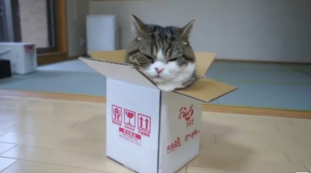 Flexible Bodies, Tight Spaces