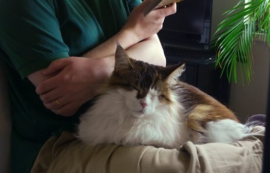 Conclusion: Embracing Both Connection and Independence