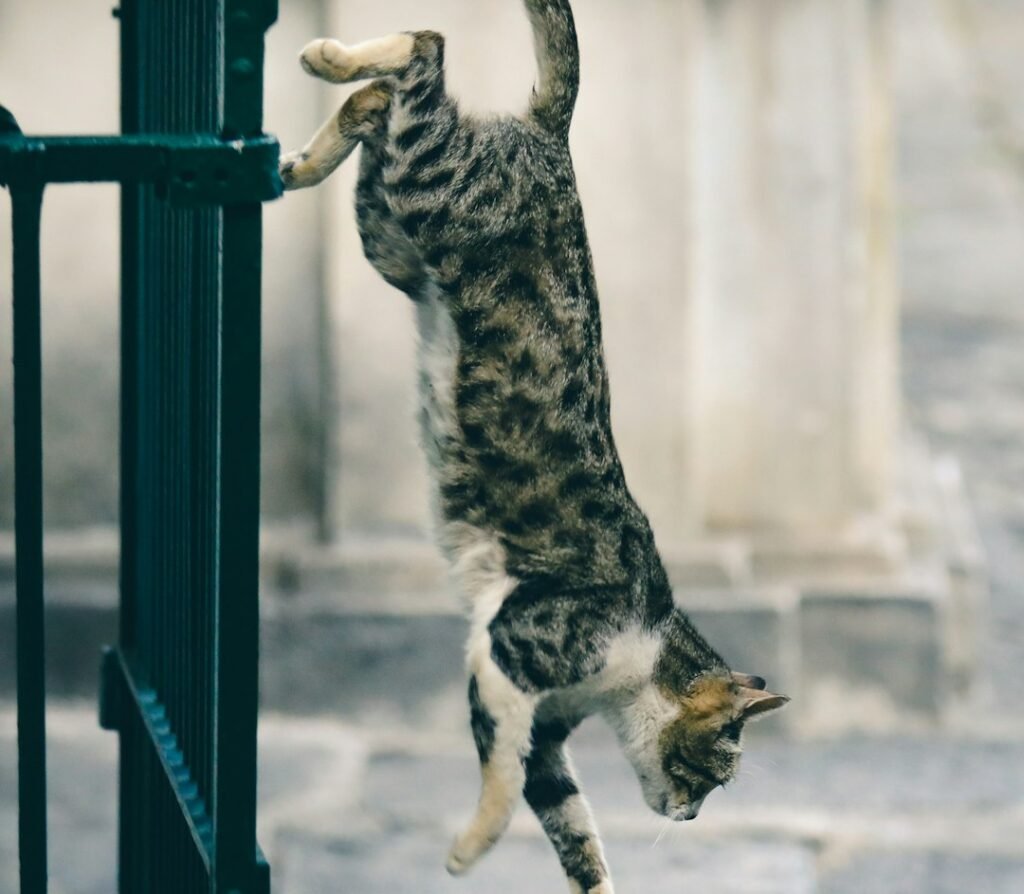 The Mathematical Mystery That Stumped Physicists