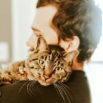 7 Amazing Benefits of Owning a Senior Cat