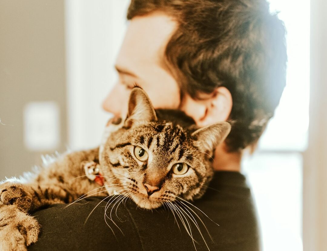7 Amazing Benefits of Owning a Senior Cat
