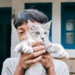 8 Signs Your Cat Considers You Family (And 7 Signs They See You as Staff)