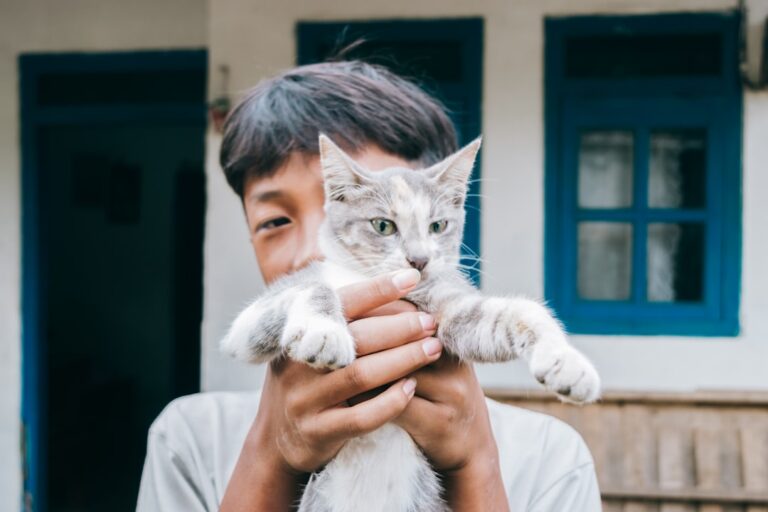 8 Signs Your Cat Considers You Family (And 7 Signs They See You as Staff)