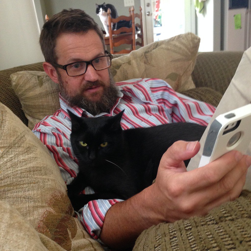 6 Cat Breeds That Are Basically Living, Purring Lap Warmers