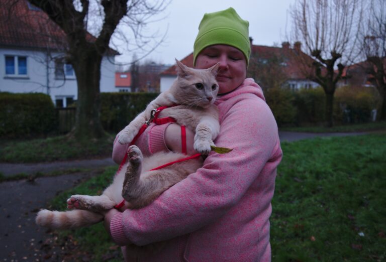 8 Common Human Habits Cats Quietly Hate (But Tolerate For Your Sake)