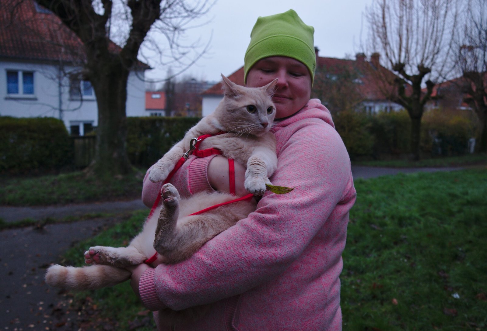 8 Common Human Habits Cats Quietly Hate (But Tolerate For Your Sake)