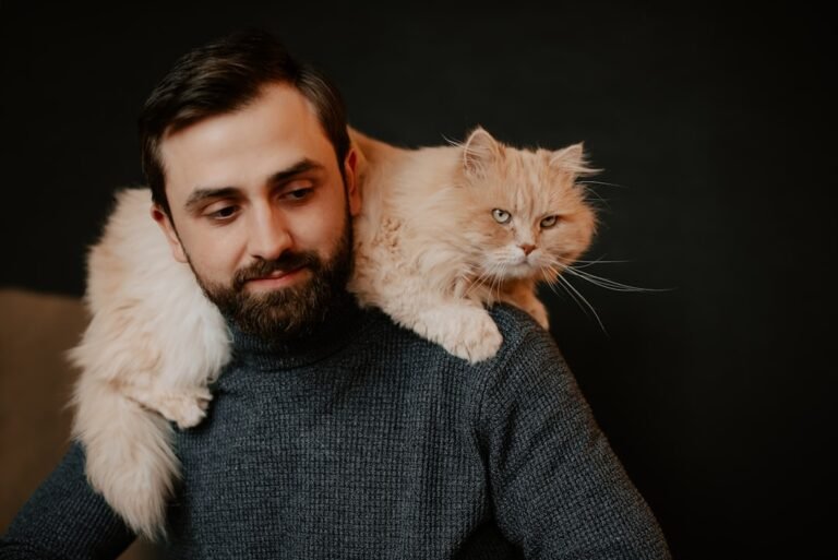 7 Questions to Ask Before Choosing Your Next Feline Friend