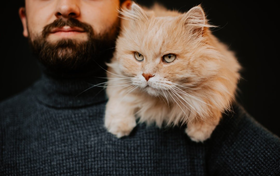 8 Cat Breeds Most Compatible With Zodiac Sign Libra