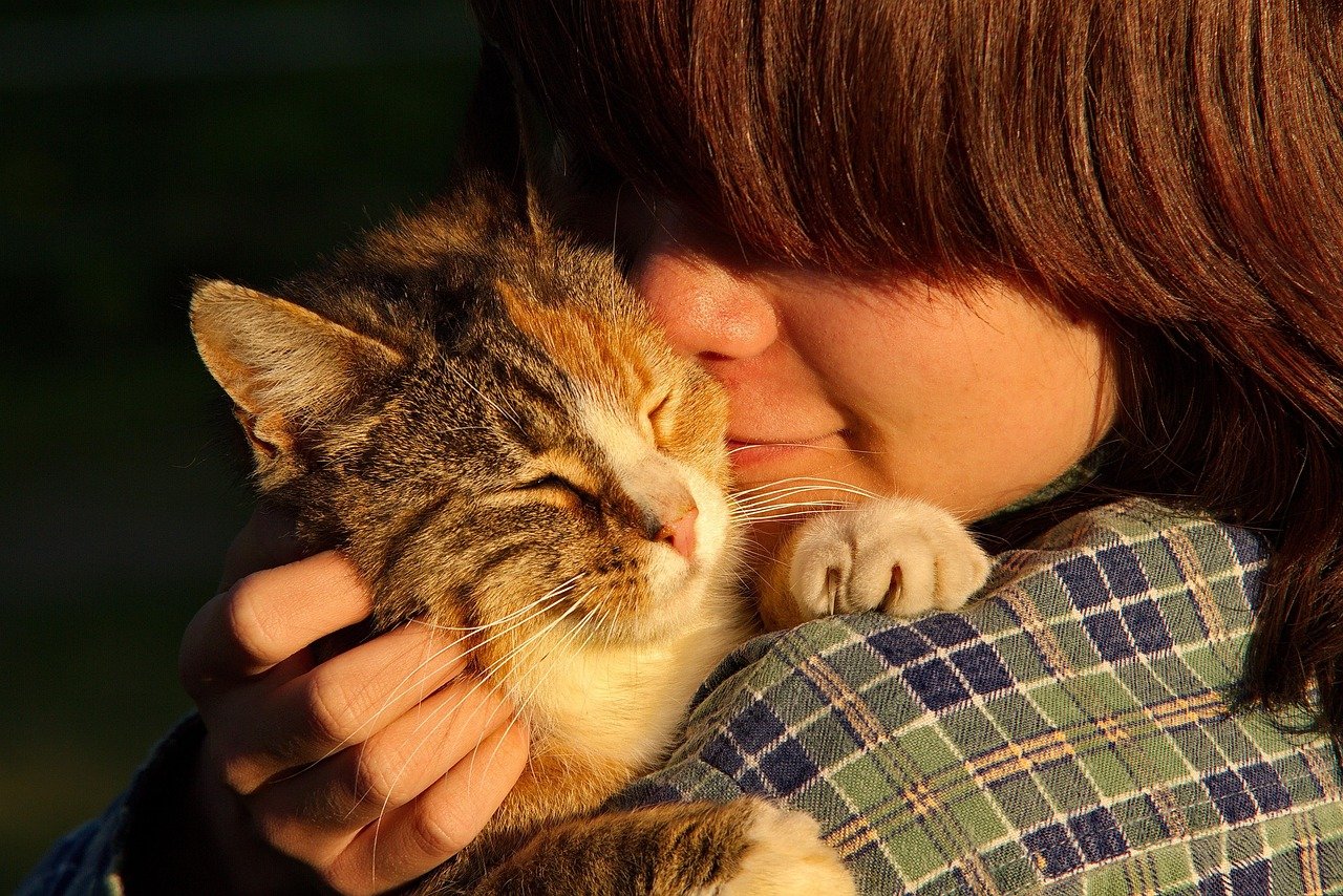 Your Cat's Favorite Human: It's All About the Little Things You Do