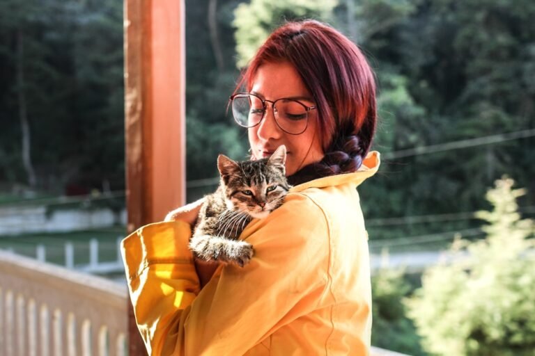 12 Cat Breeds That Become Overly Attached to One Person