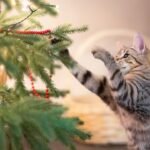 How to Keep Cats Away from the Christmas Tree