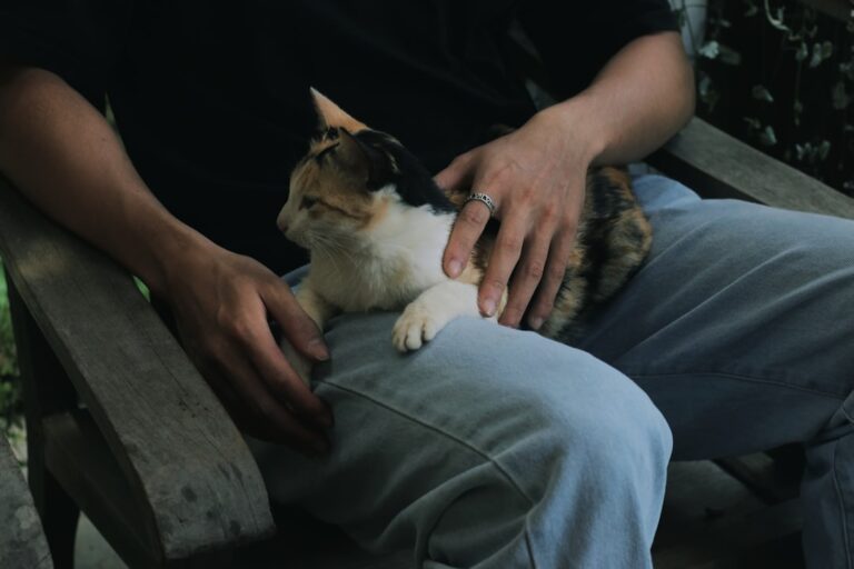 10 Ways Cats Choose People Without Making It Obvious