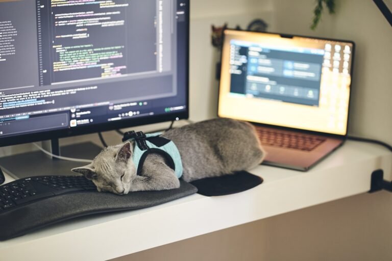Why Does Your Cat Always Choose the Most Inconvenient Spot to Nap?