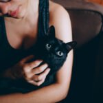10 Signs You Love Your Cat More Than People
