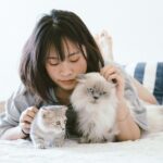 8 Cat Breeds Ideal for a Gen Z Lifestyle