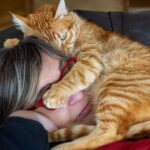 Is Your Cat a Secret Therapist? The Calming Power of a Purr