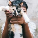 Cats Aren't Aloof, They're Just Masters of Independent Affection