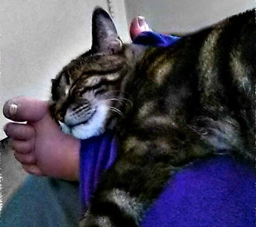 Warmth Without Overheating 