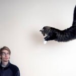 Why Do Cats Always Land on Their Feet?