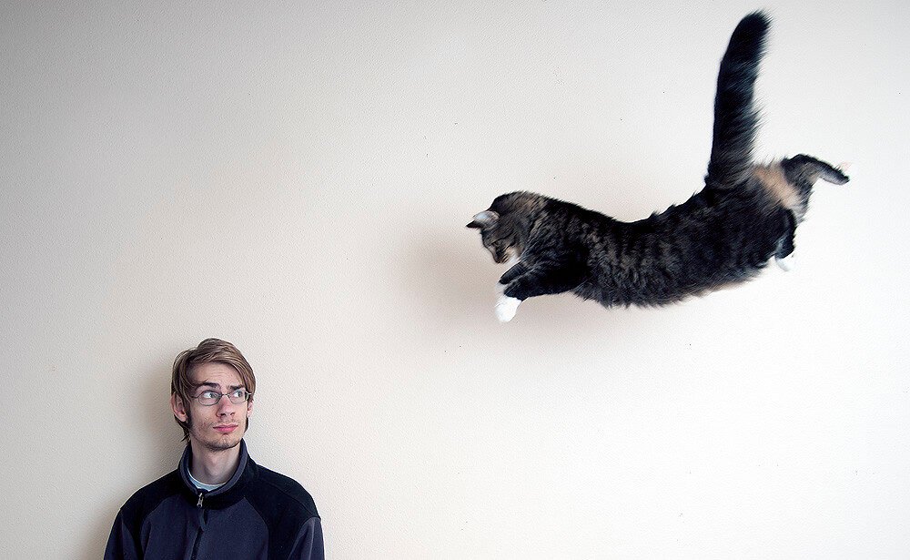 The Tail Myth: Helpful But Not Essential