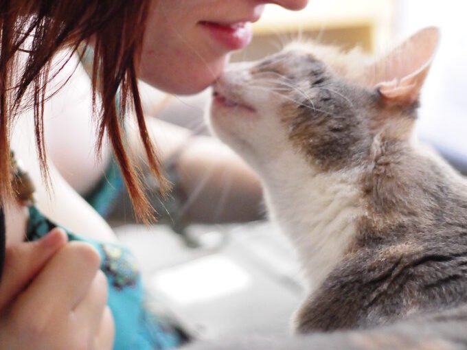 Learning About You Through Touch